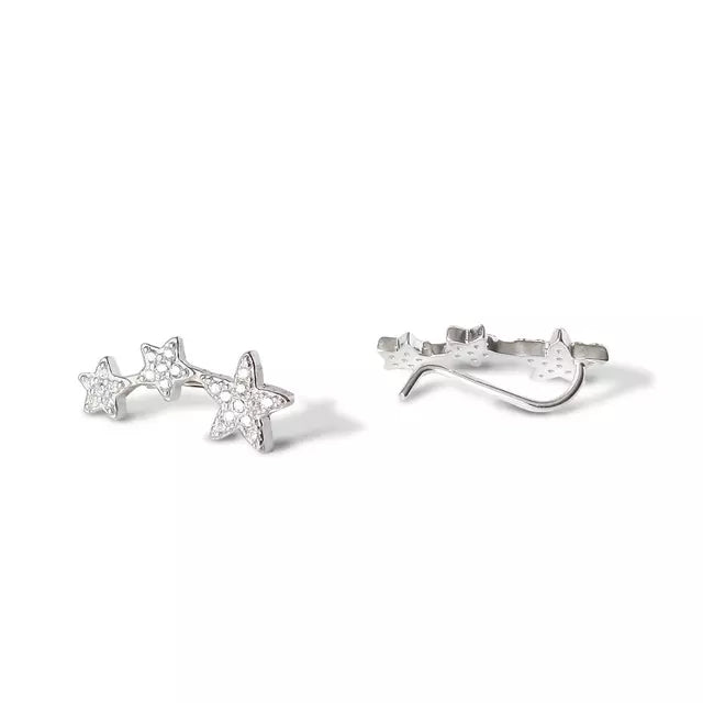Pendientes Trepadores de Plata 925 con Circonitas