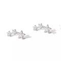 Pendientes Trepadores de Plata 925 con Circonitas
